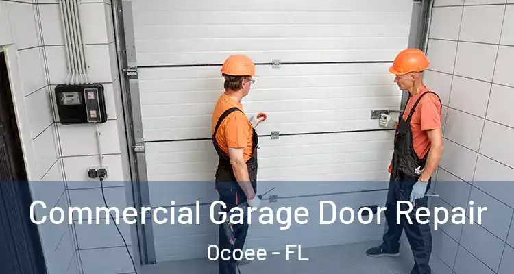  Commercial Garage Door Repair Ocoee - FL