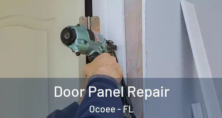  Door Panel Repair Ocoee - FL