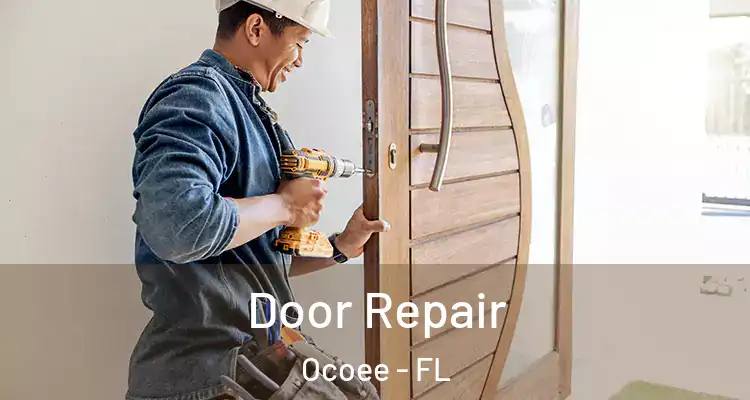  Door Repair Ocoee - FL