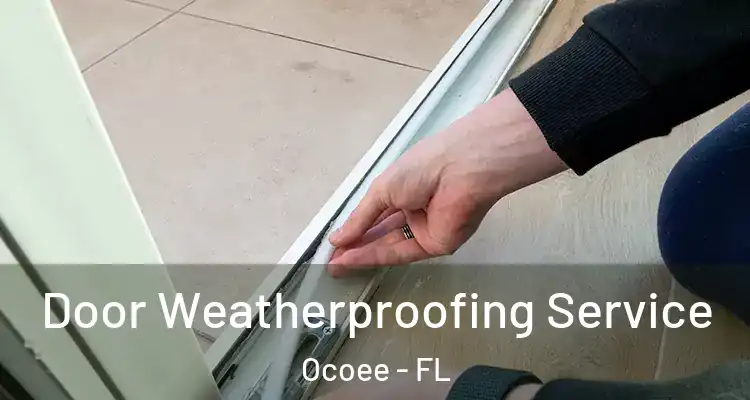  Door Weatherproofing Service Ocoee - FL