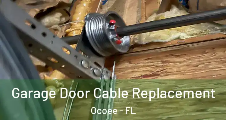  Garage Door Cable Replacement Ocoee - FL