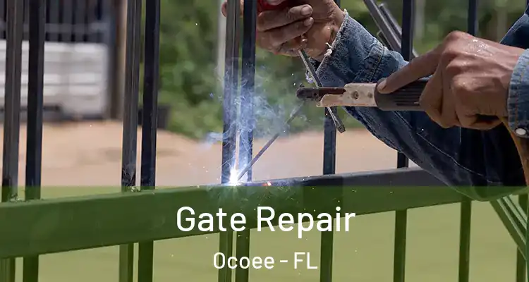  Gate Repair Ocoee - FL