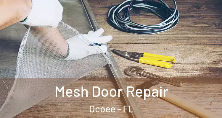  Mesh Door Repair Ocoee - FL