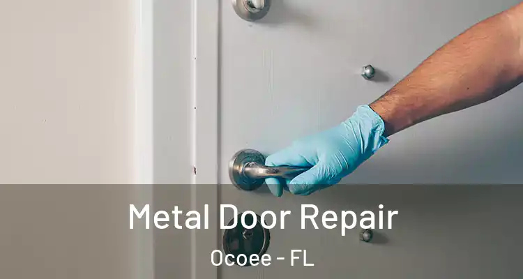  Metal Door Repair Ocoee - FL
