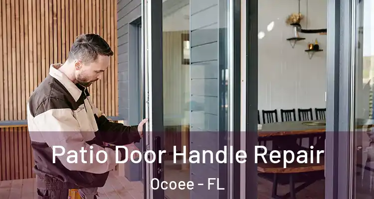  Patio Door Handle Repair Ocoee - FL