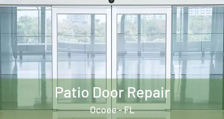  Patio Door Repair Ocoee - FL