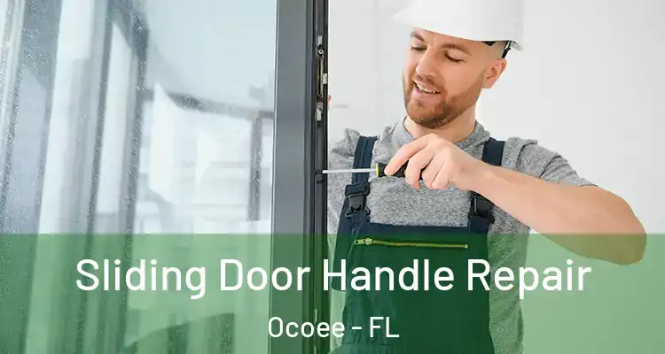  Sliding Door Handle Repair Ocoee - FL
