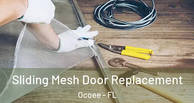  Sliding Mesh Door Replacement Ocoee - FL