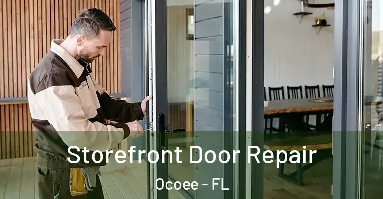  Storefront Door Repair Ocoee - FL